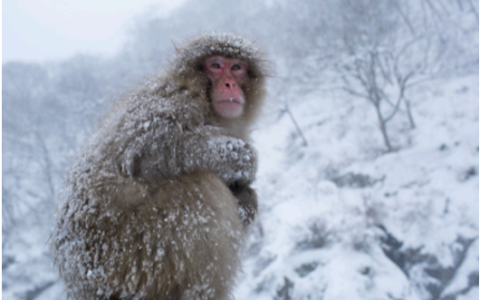 第二十三届衬衬杯征文