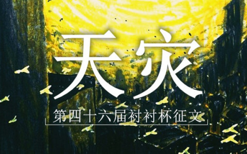 第四十六届衬衬杯获奖信息