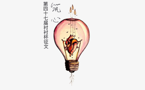 第四十七届衬衬杯获奖信息