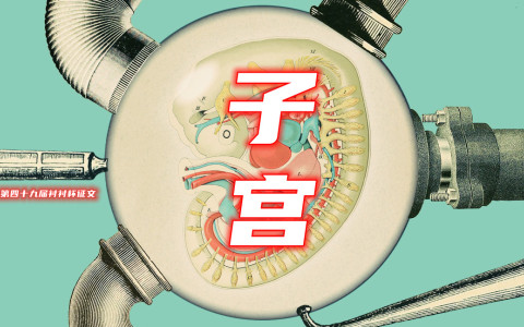 衬衬杯征文主题：子宫