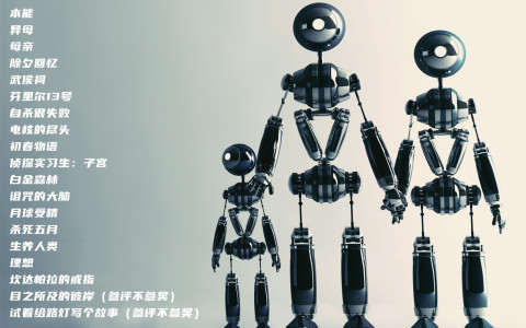 第四十九届衬衬杯获奖信息