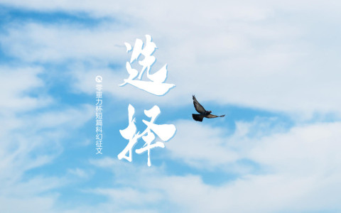 第五届零重力杯短篇《选择》评论
