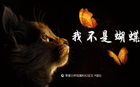 第七届零重力杯短篇《我不是蝴蝶》评论