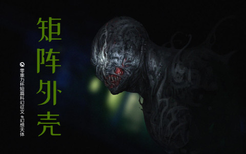 第十一届零重力杯短篇《矩阵外壳》评论