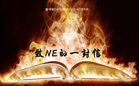 第十一届零重力杯短篇《致NE的一封信》评论