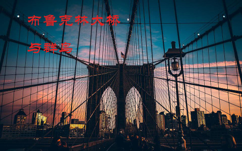 布鲁克林大桥与群鸟