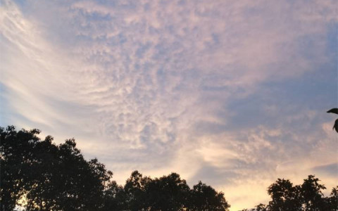 纤维：别在生活的琐碎中忘记对科幻的热爱