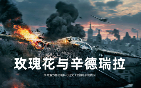 第十四届零重力杯短篇《玫瑰花与辛德瑞拉》评论