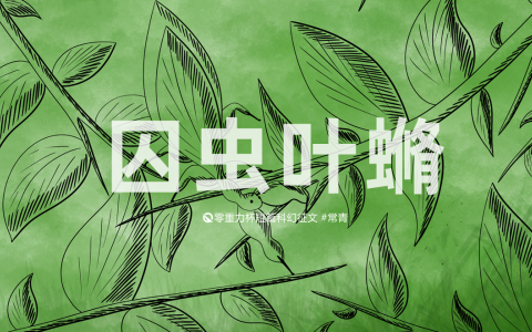 第十五届零重力杯短篇《囚虫叶[xiu]》评论