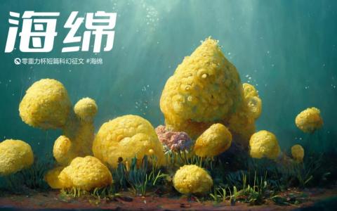 第十七届零重力杯短篇《海绵》评论