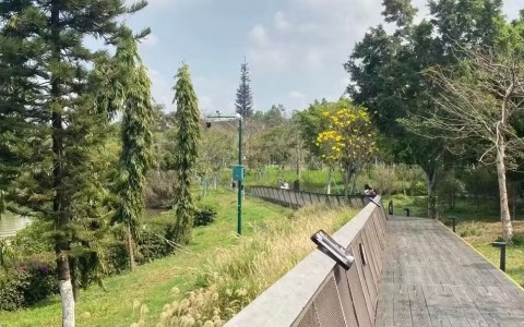 路航：摸索属于自己的科幻创作方向