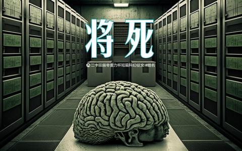第二十三届零重力杯短篇《将死》评论