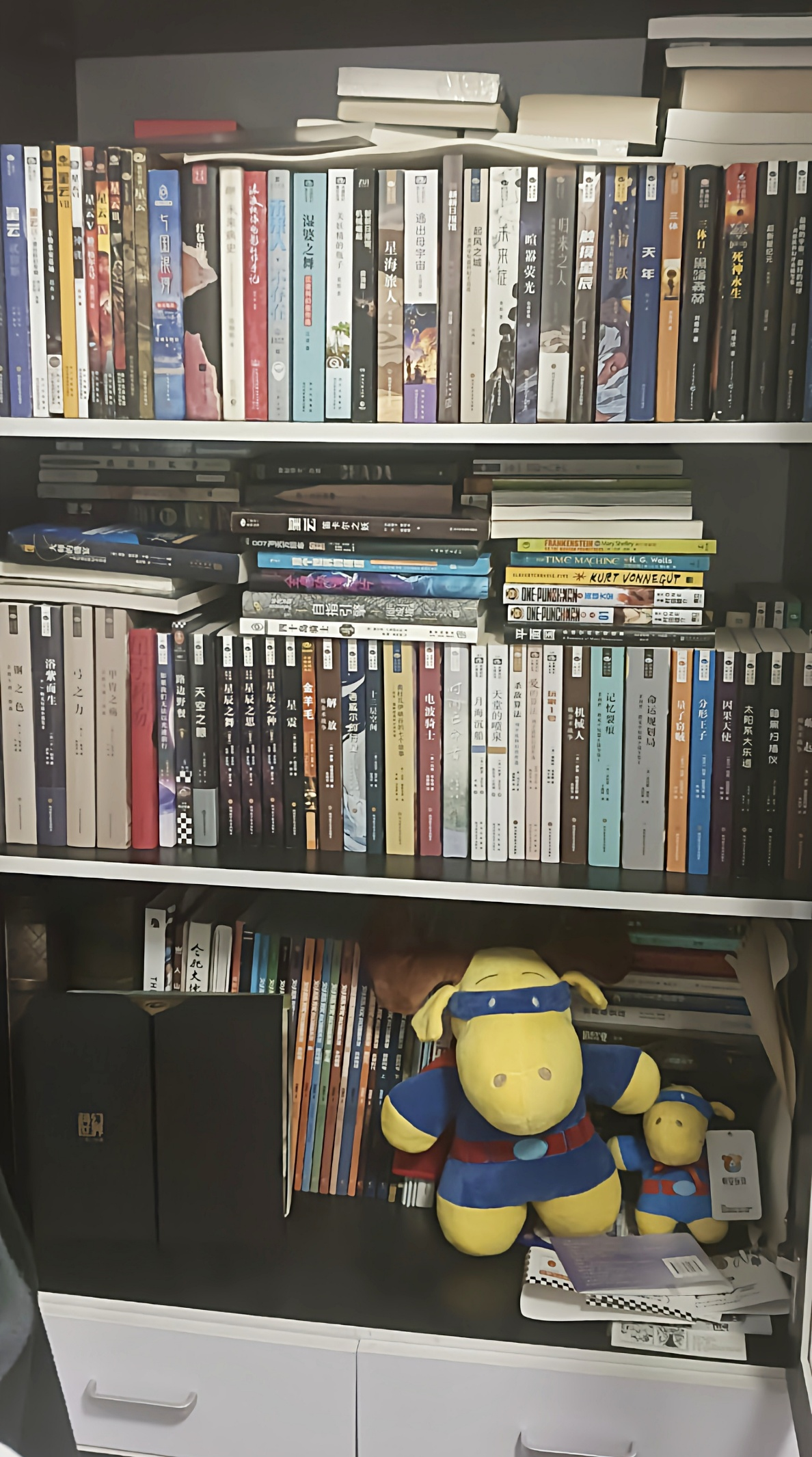 2023年4月5日，笔者摄于家中