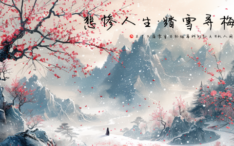 第三十九届零重力杯短篇《悲惨人生：踏雪寻梅》评论