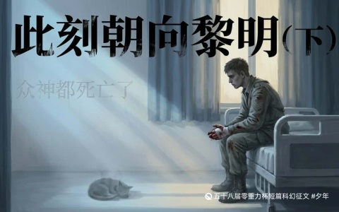 第五十八届零重力杯短篇《此刻朝向黎明（下）》评论