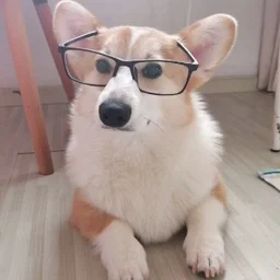 阿尔伯特爱