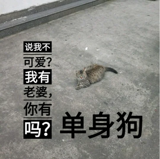 第七届衬衬杯征文