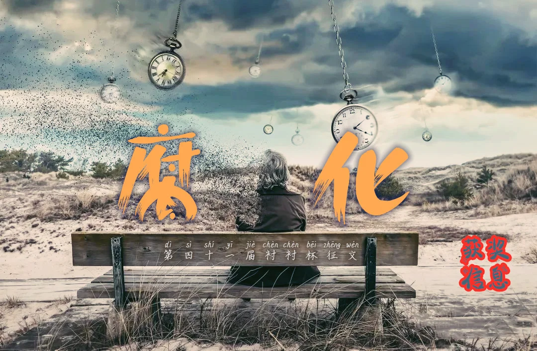 第四十一届衬衬杯获奖信息