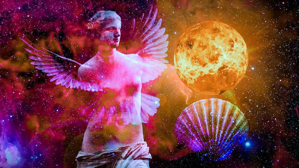 专访衬衬杯作者雨幕
