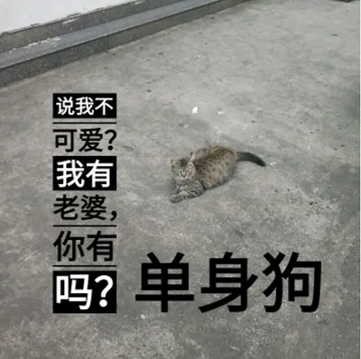 第七届衬衬杯征文