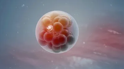 醒来