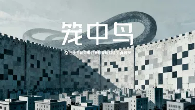 第五十四零重力杯短篇《笼中鸟》