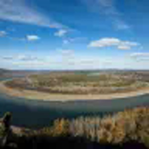 抹茶曲奇的头像